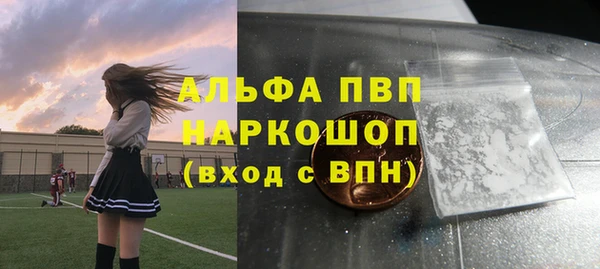 индика Алексеевка