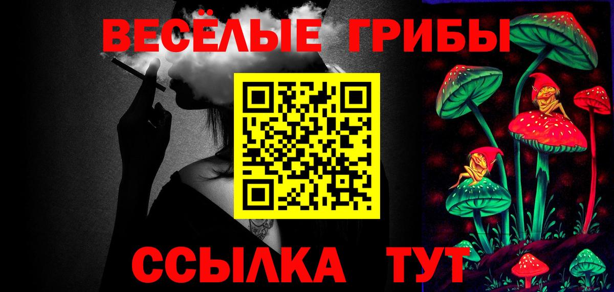 Галлюциногенные грибы Psilocybe Старая Купавна