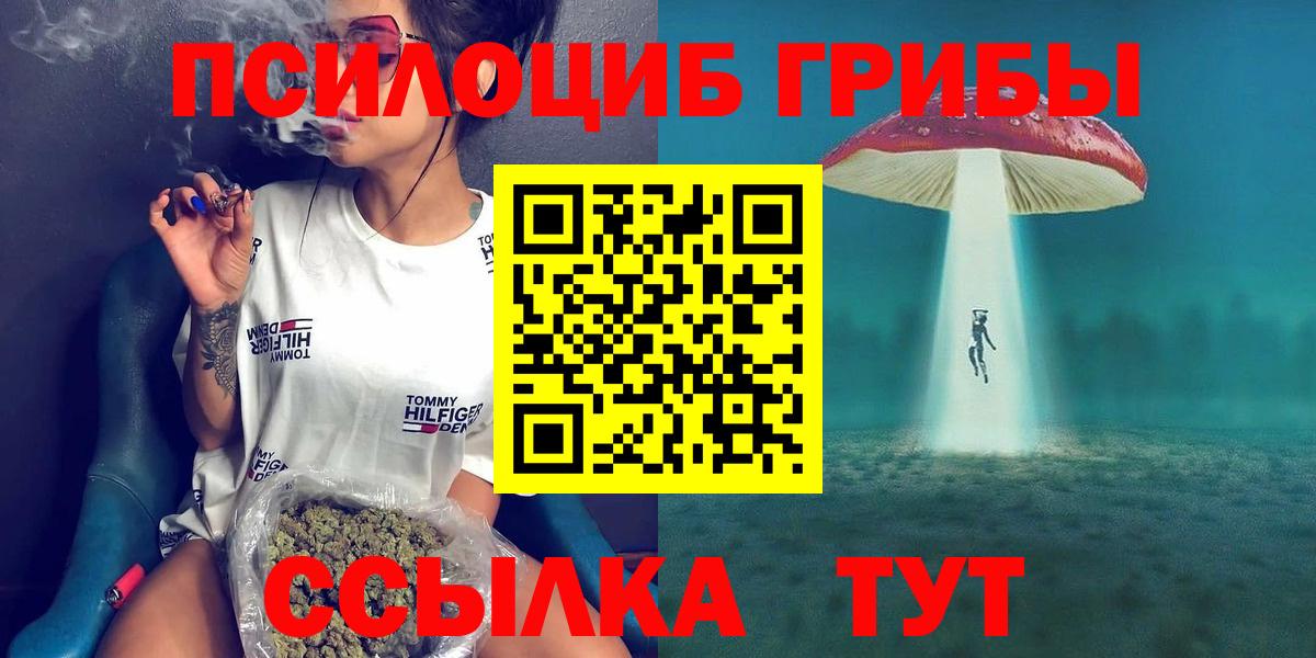 Старая Купавна  Галлюциногенные грибы Psilocybe  Вход с VPN  Галлюциногенные грибы прущие грибы 